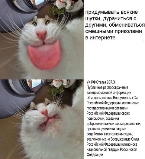 Придумывать шутки по статье 207.3