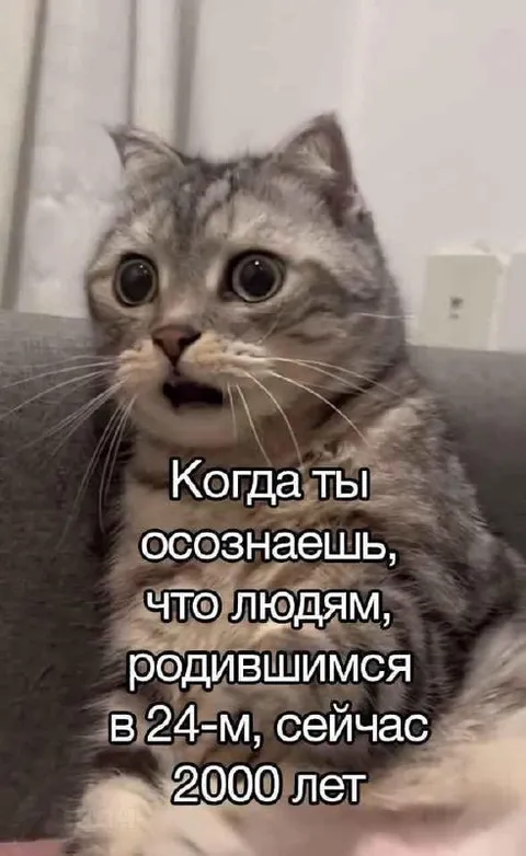 Осознание возраста людей из 24-го