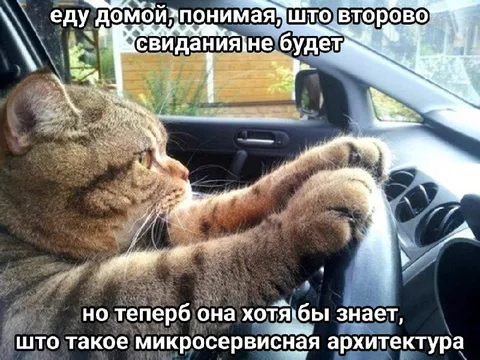 Кот изучает микросервисную архитектуру