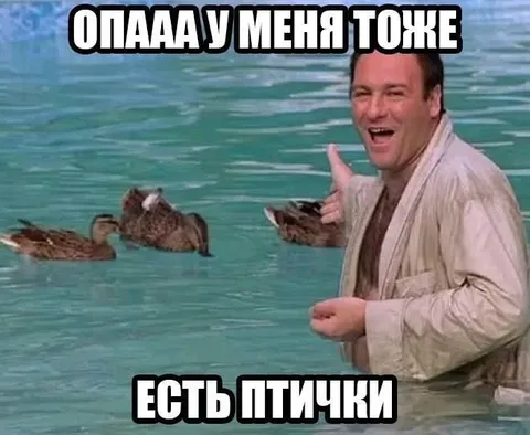 У меня тоже есть птички