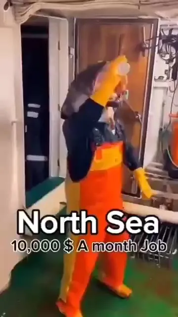 North Sea Job Dance