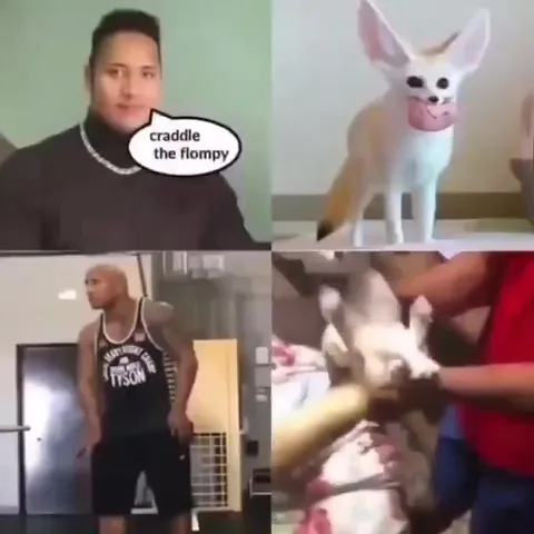 Craddle the Flompy котёнка