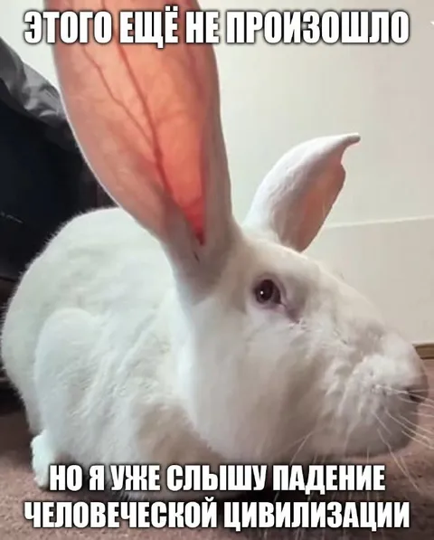 Кролик слышит падение цивилизации