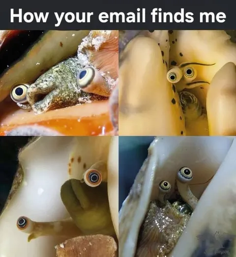How Your Email Finds Me