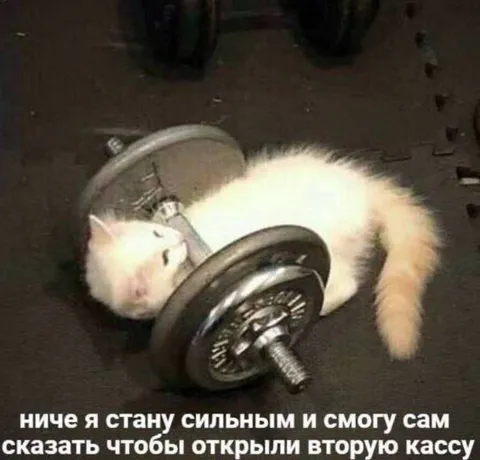 Кот станет сильным и откроет кассу