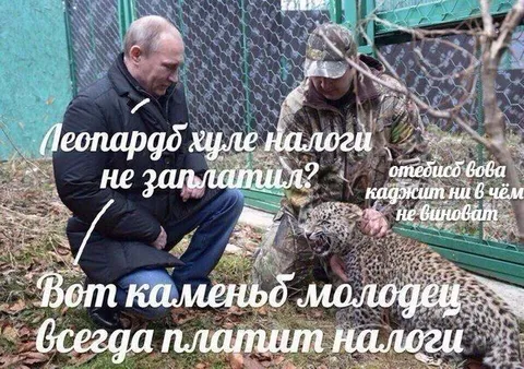 Леопард налоги не заплатит