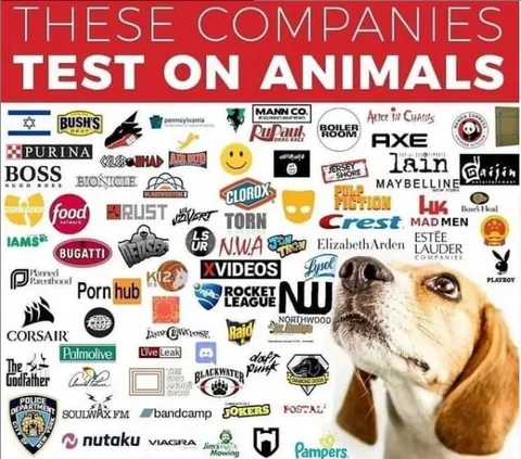 Companies That Test on Animals