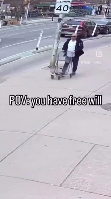POV: You Have Free Will