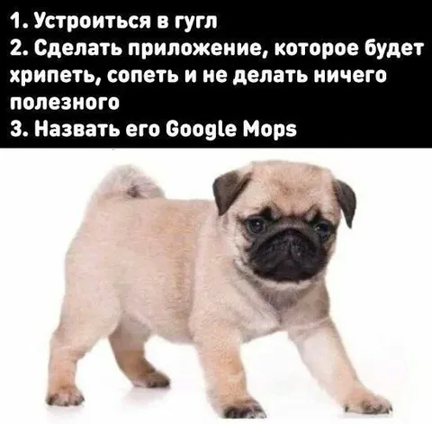 Как назвать приложение для мопсов