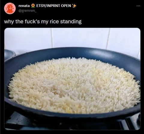 Rice Standing Up in Pan