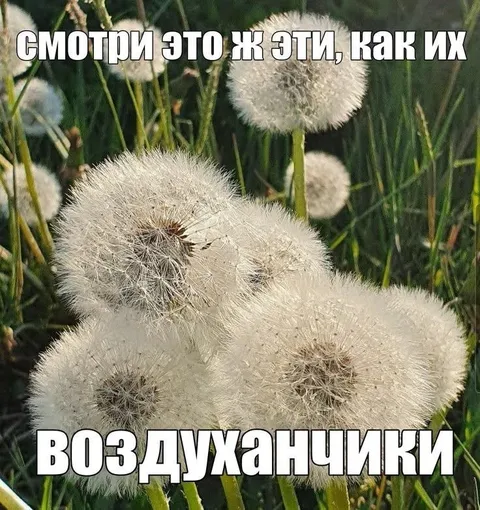 Как их, воздушанчики