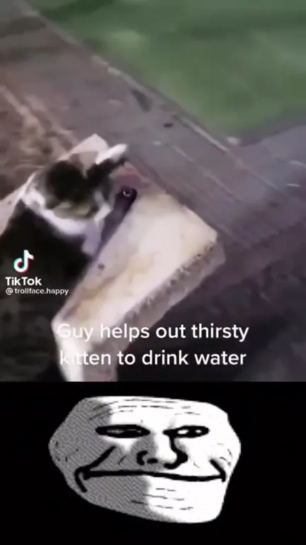 Thirsty Kitten Trollface