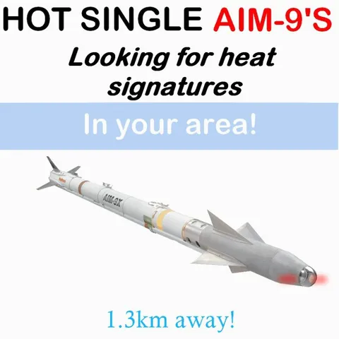 Hot Single AIM-9 Nearby