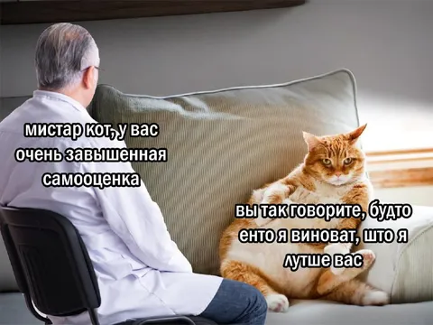 Кот с завышенной самооценкой