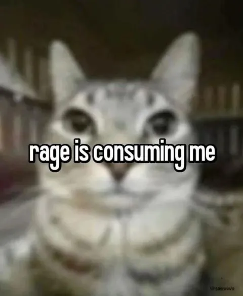 Rage Is Consuming Me Cat