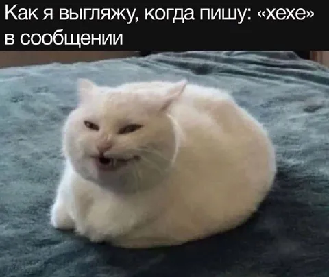 Как я выгляжу, когда пишу «хехе»