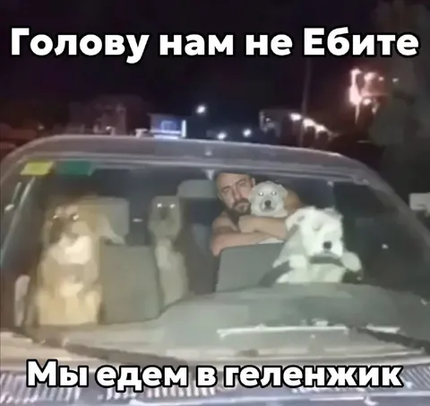 Мы едем в Геленджик с собаками