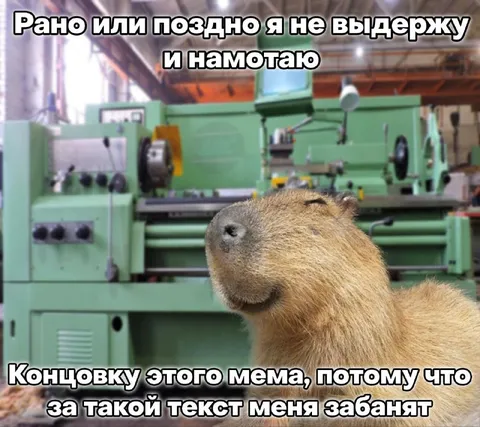 Капибара наматывает концовку