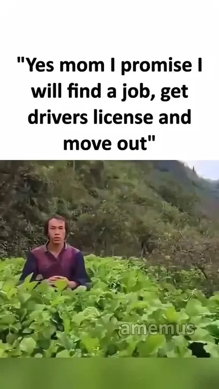 Promise to Move Out