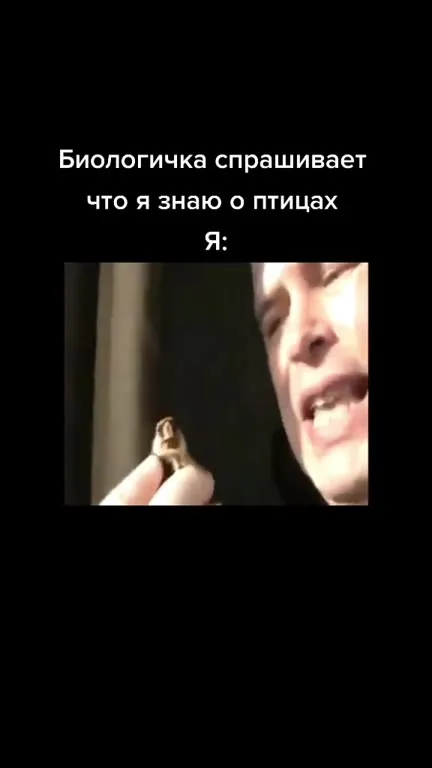 Что я знаю о птицах