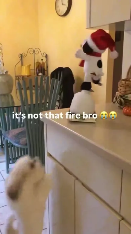Snoopy Dancing on the Snowman