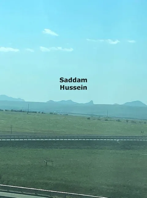 Saddam Hussein Landscape