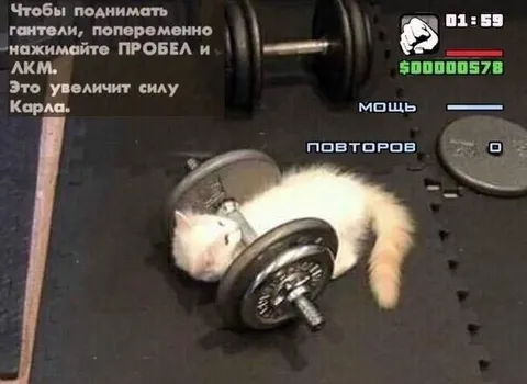 Кот качает силу Карла
