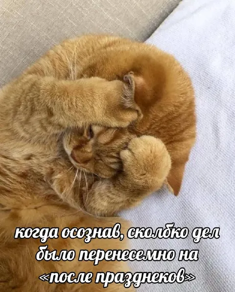 Сколько дел после праздников