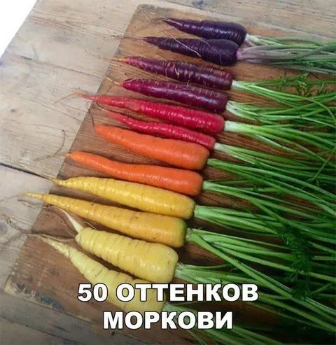 50 оттенков моркови