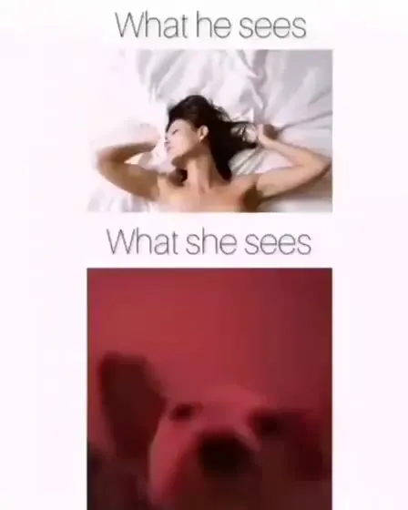 What She Sees Is a Pug