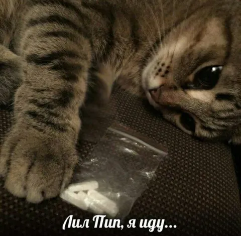 Лил Пип, я иду
