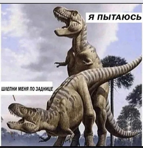 Я пытаюсь, шлепни меня по заднице
