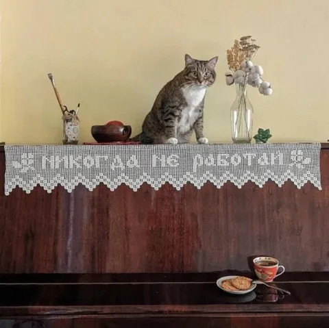 Я пришла не работать