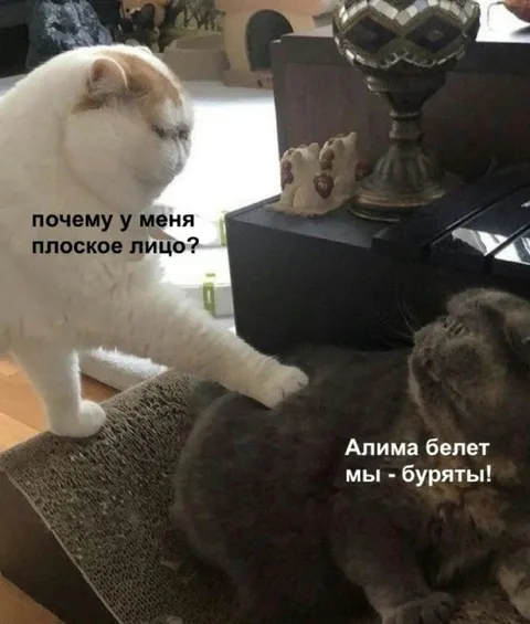 Почему у меня плоское лицо
