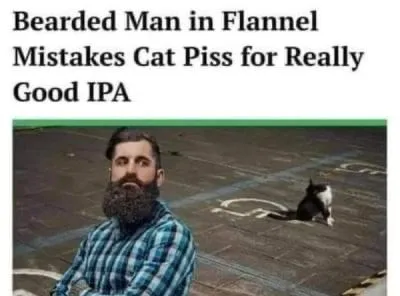 Bearded Man Mistakes Cat Piss for IPA