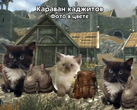Караван каджитов фото в цвете