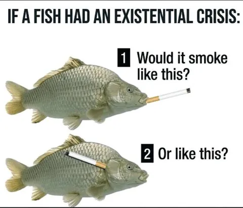 Fish Existential Crisis
