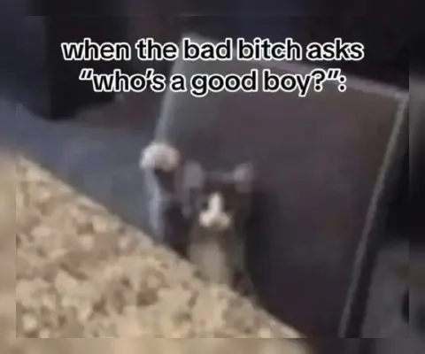 When the Bad Bitch Asks Who’s a Good Boy