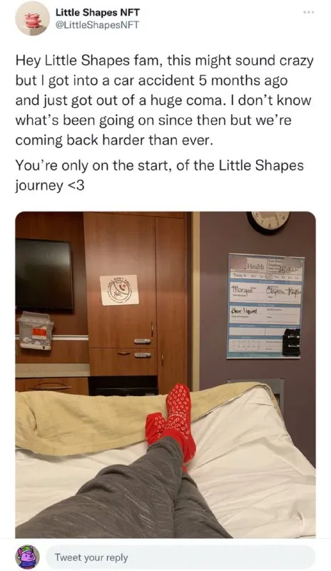 Little Shapes NFT coma return