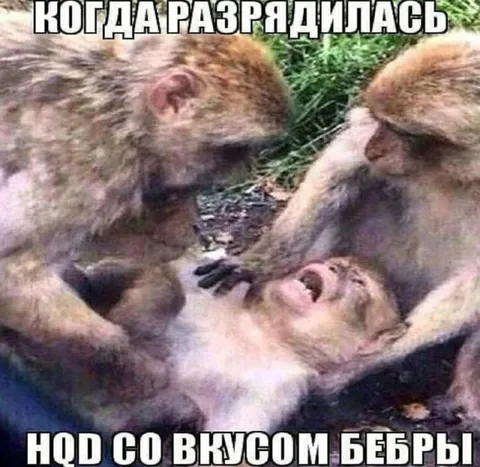 Нос со вкусом бебры