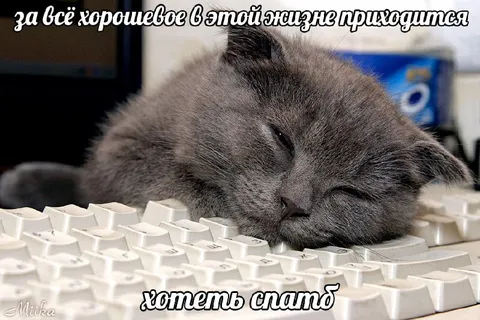 За всё хорошее приходится хотеть спать