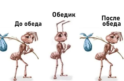 Муравей до и после обеда