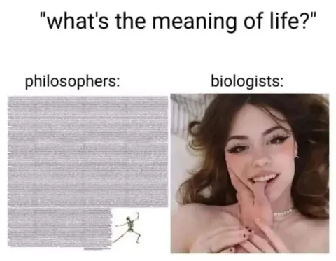 Philosophers vs Biologists on Life