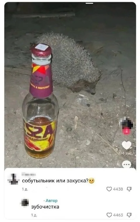 Собутыльник или закуска