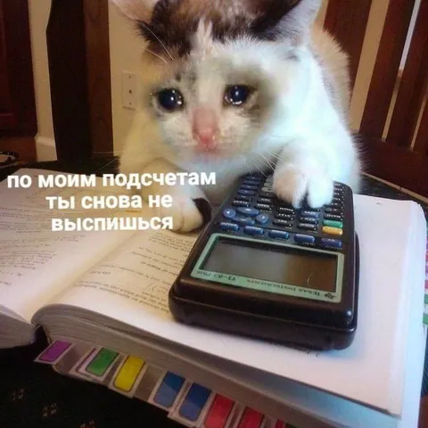 Кот считает бессонную ночь