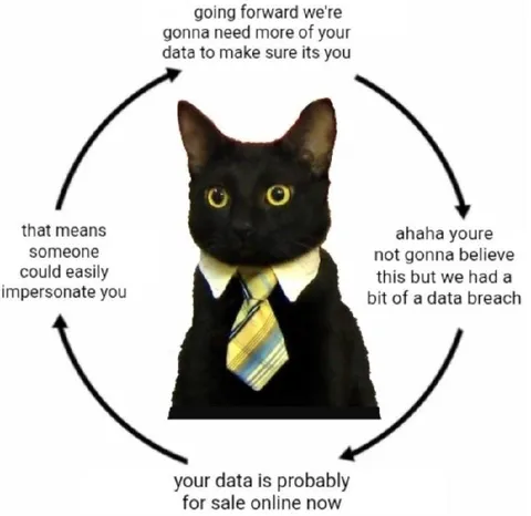 Black Cat Data Breach Cycle