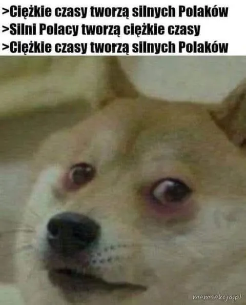 Ciężkie czasy, silni Polacy