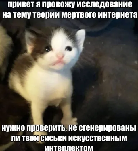 Исследование теории мёртвого интернета