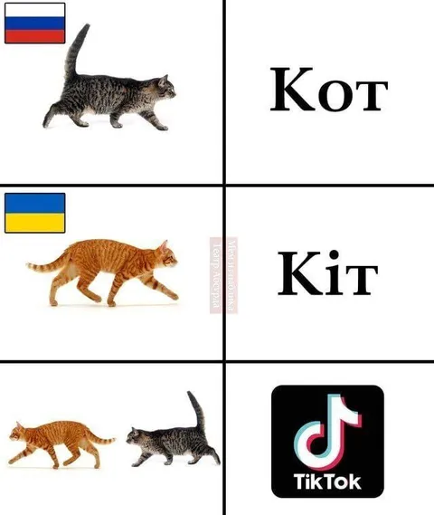 Кот по-русски и по-украински