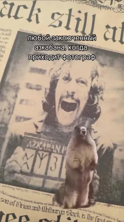 Заключённый из Азкабана увидел фотографа